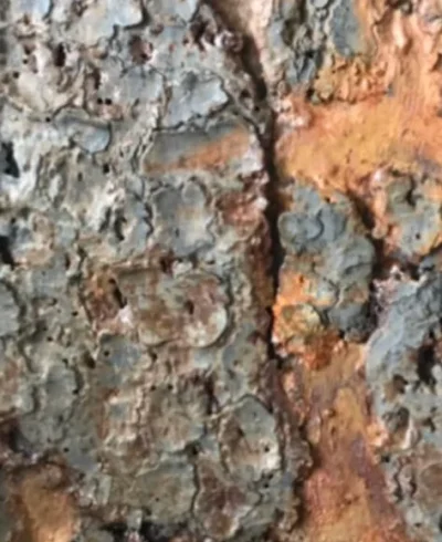 Malergeschäft Bassersdorf arbeiten