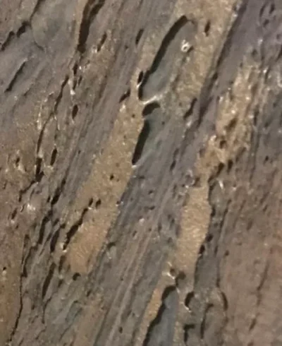 Malergeschäft Bassersdorf