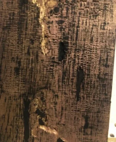 Optimal Maler Arbeiten